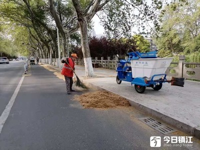 今天的风,有点大 市区环卫工人全天清理落叶和树花近20吨