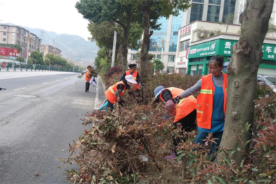 清理绿化带卫生死角 守护城区绿色风景线