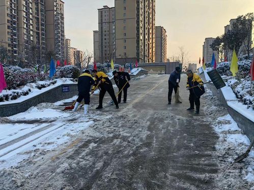 济宁泗水县 物业企业迎 寒 而上 铲出小区 平安路