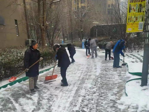 广场街道 真情融冰雪,爱心暖寒冬