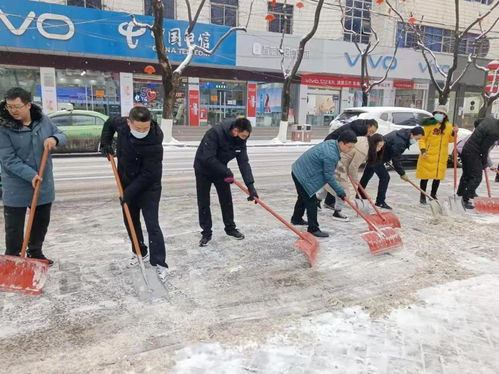 华亭市教育局组织局机关及辖区学校干部职工清扫路面积雪方便群众出行