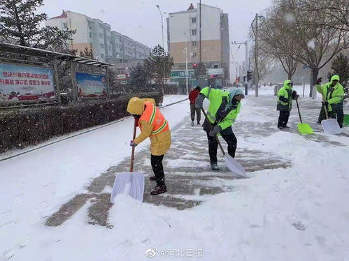 截至上午10点30分,张家口康保县已达中雪