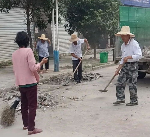 琴亭镇 新时代文明实践助力城乡人居环境整治