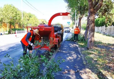 蔡甸优服务强措施 打造“畅安舒美”道路交通环境