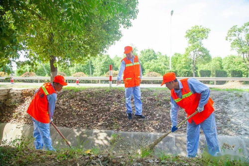 防汛保畅,多措并举,全力保障公路畅通